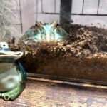 gamakunのアバター