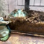 gamakunのアバター