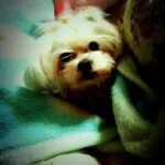 yuichi_のアバター