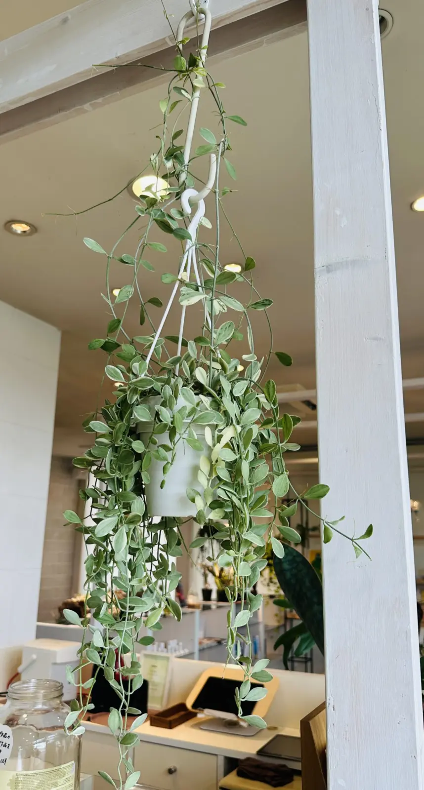 ディスキディア