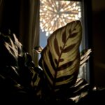 grumitのアバター