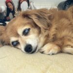 kyokadayo33のアバター