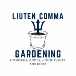 るてこまのアバター