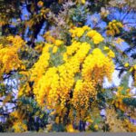 Tetchin.co.ltdのアバター