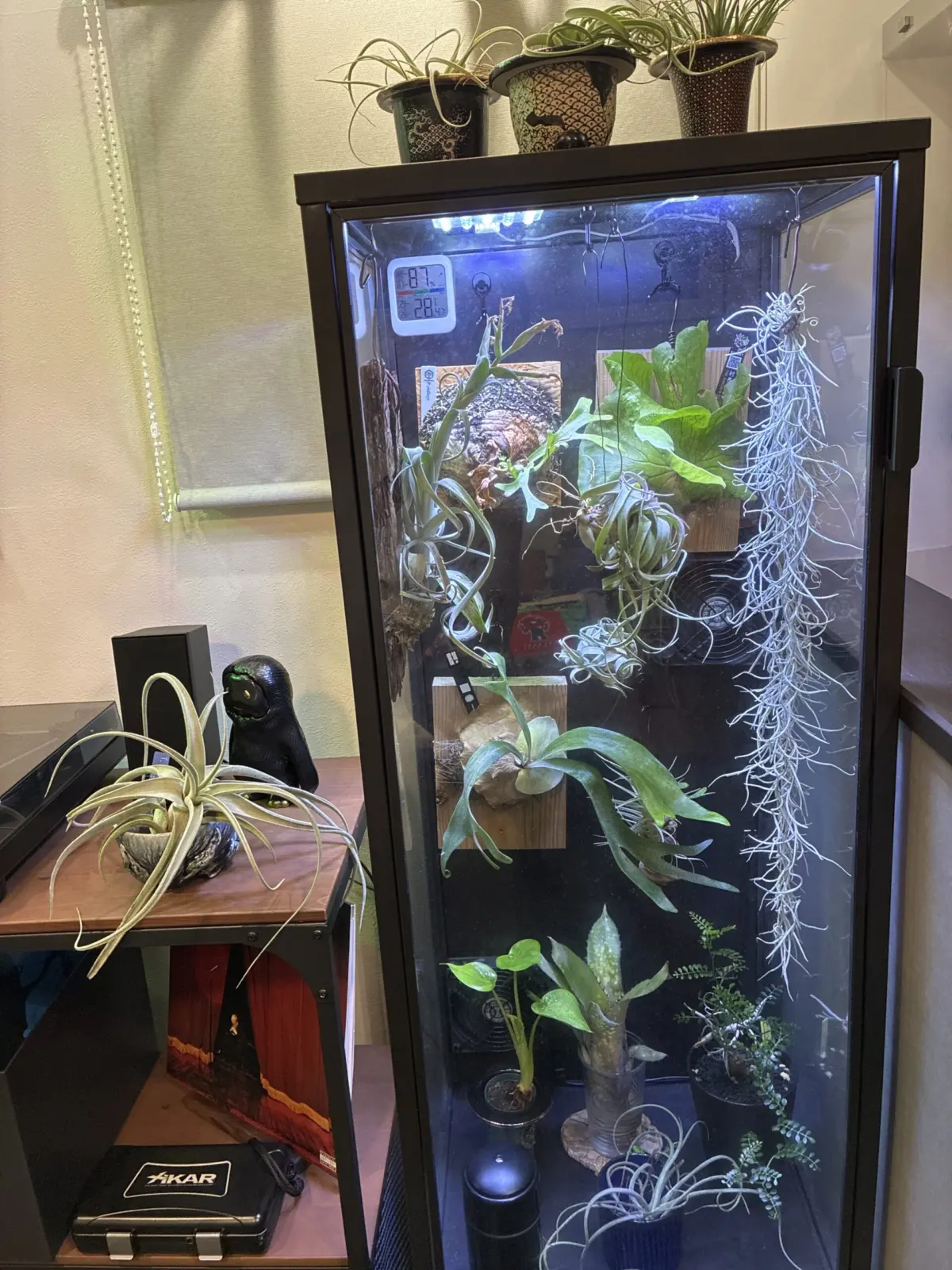 直売所の仲間たち他