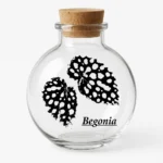 ichikawaのアバター