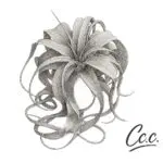 taichi cccのアバター